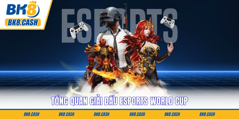 Tổng quan giải đấu Esports World Cup